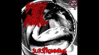 Sounds of dying animal  Surströmming [upl. by Adnohsat19]