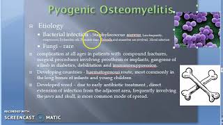 Pathology 825 c Osteomyelitis Infection Of Bone Staph Aureus Amyloidosis [upl. by Freddy]