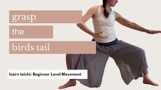 Learn TaiChi Grasp the Birds Tail [upl. by Soulier]