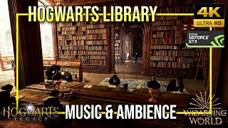 Hogwarts Legacy  Relaxing Hogwarts Library  Harry Potter Music amp Ambience [upl. by Hselin]