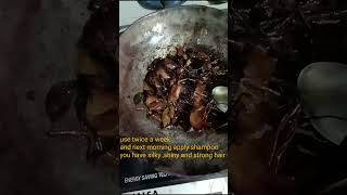 Diy hair oil for long and strong hair viral natural oil shiny hair trending diy ytshorts 🤎🫧 [upl. by Miko]