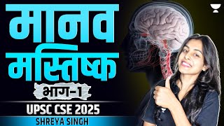 The Human Brain  Anatomy and Functions  UPSC CSE 2025 Prelims amp Mains  Shreya Singh [upl. by Candice575]