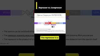 Gene Expression in operons Repressor vs Corepressor [upl. by Dnalwor]