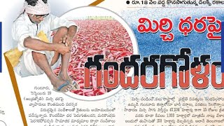 Guntur mirchi market rate today  21092024 [upl. by Acirfa]