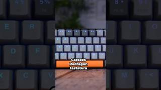 Tastatura za osobe sa velikim prstima redragon caraxes recenzija [upl. by Atinet]