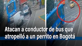 Atacan a conductor de bus que atropelló a un perrito que saltó de taxi en Bogotá  El Tiempo [upl. by Eldon]