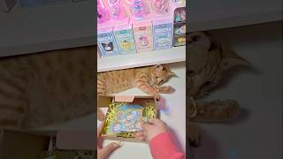 Cinnamoroll Shopping🛍 sanrio kuromi hellokitty cinnamoroll cute japan shorts asmr fyp [upl. by Adiahs830]