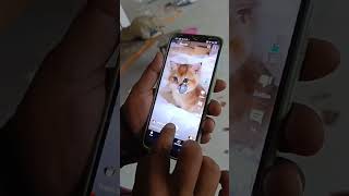 Instagram Jadu🤔 vah imagine🙏🙏 Jadu wala video🥱👍viralmagicyoutubeshorts [upl. by Esnohpla]