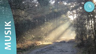 Segne uns – Chormusik und Naturaufnahmen – von Bruno GröningFreunden [upl. by Jacqueline]