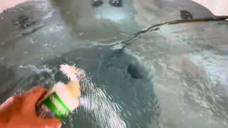 Hot Tub drain and refill video 5 of 5  Blair’s House in St Peter’s [upl. by Ecallaw]