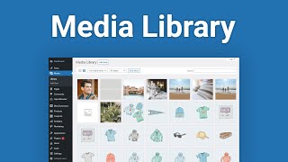 How to Use the WordPress Media Library [upl. by Eruot]