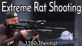 EXTREME RAT SHOOTING with 1280 thermal and an air rifle [upl. by Aicenaj]