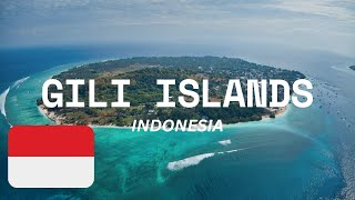 GILI ISLANDS INDONESIA A TROPICAL PARADISE Things To Do And travel Guide giliislands giliisland [upl. by Carolee]