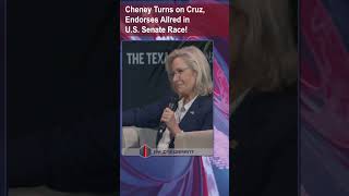 Liz Cheney Endorses Democrat Allred Over Ted Cruz—Shocks Texas shorts [upl. by Ainehs]