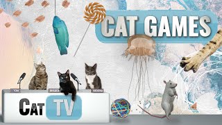 Cat Games  Ultimate Cat TV Compilation Vol 6  1 HOUR 🐱📺🐶🍭🧀🐔🐟🌊🐭🌱 [upl. by Finella]