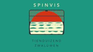 Spinvis  Tienduizend Zwaluwen [upl. by Dumanian]