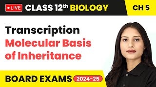 Transcription  Molecular Basis of Inheritance  Class 12 Biology Chapter 5  live [upl. by Roberto]