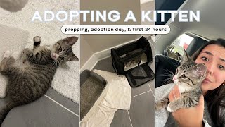 I ADOPTED A KITTEN prepping adoption first 24 hrs [upl. by Eolc]