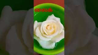 rosapoo chinna rosapoo music love vivasayee [upl. by Aneeram]