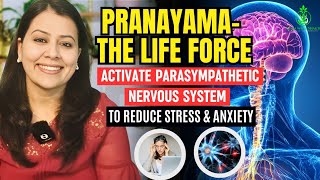 Pranayama to Activate Parasympathetic Nervous System  Reduce Stress amp Anxiety [upl. by Adoh]