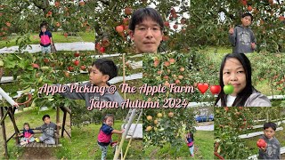 Picking Apples  The Apple Farm❤️🍏🍎Going to Fukuruda FallsSightseeingjapanvlog [upl. by Nuncia]