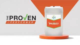 Velocity® Herbicide The Proven Performer for over 10 years [upl. by Luana]