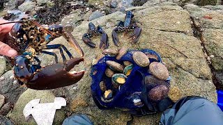 COASTAL FORAGING AT ITS FINEST  Big Lobsters amp Abalone Catch Clean Cook Big Lobster [upl. by Atrim750]