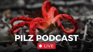 Pilz Podcast Live 67 mit derpilzfluesterer [upl. by Locklin776]