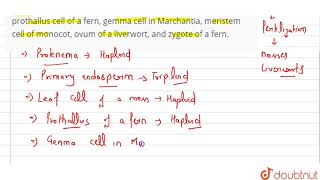 Mention the ploidy of the following protonemal cell of a moss primary endosperm nucleus in dic [upl. by Gefell625]