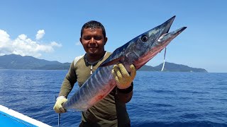 RAPALA MAGNUM Strike Wahoo Tenggiri 12kg [upl. by Olivero460]