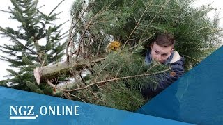 Selbstversuch Tannenbaum schlagen in Neuss [upl. by Aerdnak259]