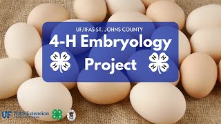 An Introduction to the 4H Embryology Project [upl. by Aivata]