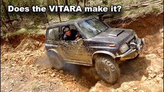 4WD at Toolangi Devils Playground Destroying Beadlocks SEND n70 GQ Patrol amp VITARA  Travel n 4x4 [upl. by Rim]