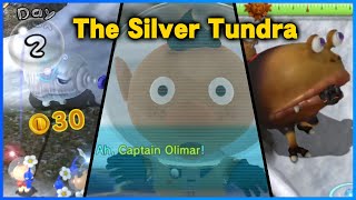 Pikmin 3 Hack  The Silver Tundra  Extra Side of Stories Custom Level [upl. by Yeliw577]