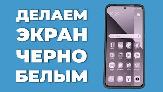 Как включить чернобелый экран на телефоне Android [upl. by Novj]