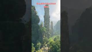 The real Avatar floating mountains in China travel travellife shortsfeed [upl. by Brunn]