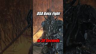 How Dark Souls 3 Speedrunners DESTROY Dragonslayer Armour [upl. by Assen]