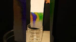 paper chromatography chemistry experiment chemistry shorts experiment [upl. by Lladnew224]