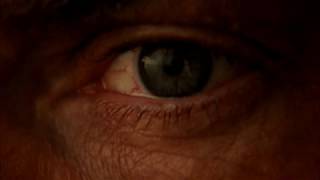 a Mistake in Star Trek Discovery  Blood Vessels in Sareks Eye Should be Green not Red [upl. by Norreg91]