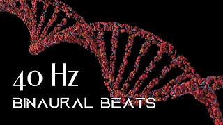 40 Hz  Gamma Waves for Focus  Concentration  Memory  Binaural Beats  Focus Music [upl. by Cherida]