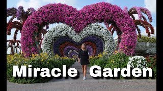 Miracle Garden  DUBAI  andreaabaam [upl. by Marler]