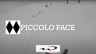 Whistler Blackcomb Piccolo Face [upl. by Lepp]