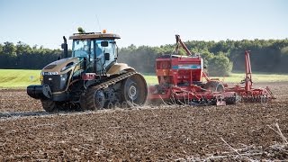 Semis 2014 Challenger MT 745 C  seeding wheat  Roger Maxidrill TW [upl. by Yanal]