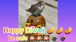 How to Celebrate Diwali Without Harming Animals [upl. by Gwyn]