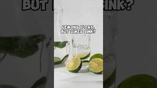 Floats and sinks facts funfacts random randomfacts fypシ゚ fyp shortsvideo shortsviral [upl. by Lindly]