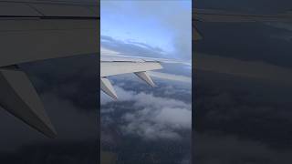 Aeroplane flight status statusvideo airport indai mascow russia airview ytshorts video [upl. by Cloots]