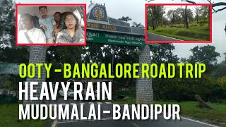 Ooty  Bangalore Road Trip  Mudumalai and Bandipur Tiger Reserve  Family vlog  Travelvlog Travel [upl. by Desireah]