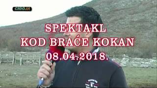 DICMO KORIDA 2018 KOD KOKANA SPOT NAJAVA [upl. by Ecyar]