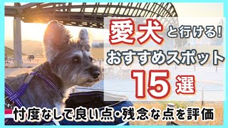 【愛犬とお出かけ】一緒に行って良かった場所 ☆ 残念だった場所 15選 [upl. by Almeda]