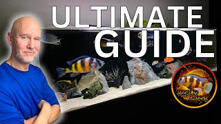 STEP by STEP  Setting Up Peacock amp Hap AFRICAN CICHLID Tank [upl. by Alena781]